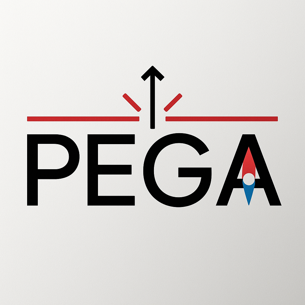 Pega-Mühendislik